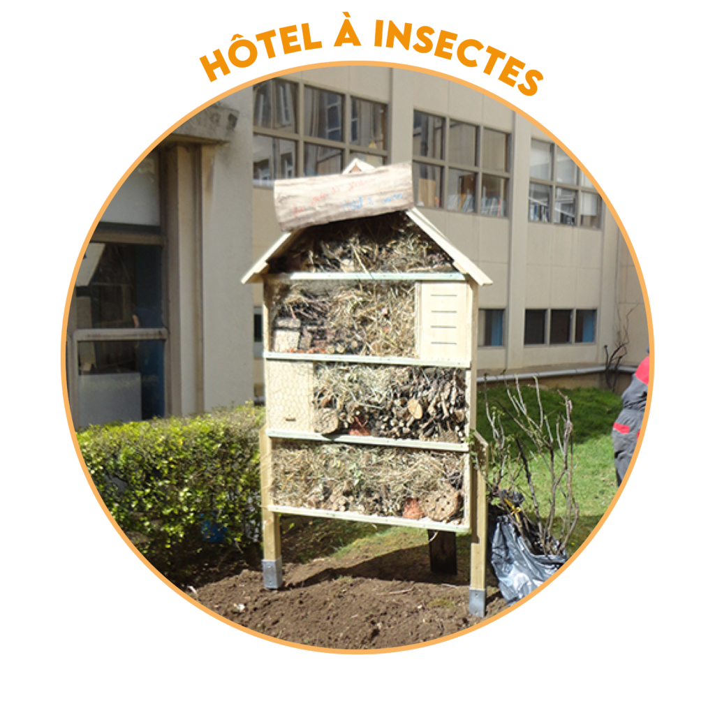 Label villes et villages fleuris - hôtel à insectes